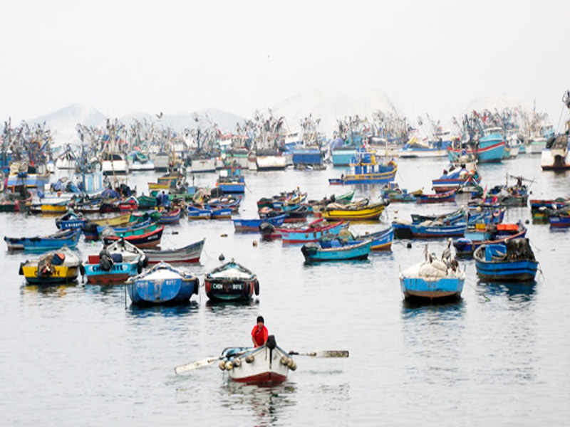 "Embarcacines  pesqueras en la  bahía de Chimbote"