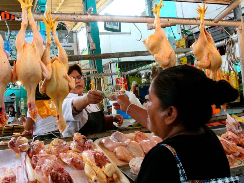 Asociación Peruana de Avicultura: precio del pollo no bajará 