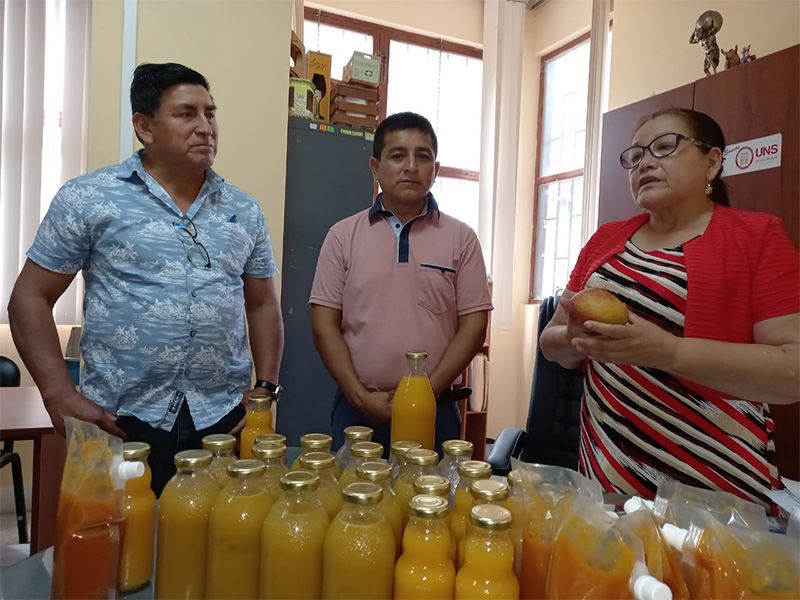 Casma: Agricultores aprenderán a producir jugos y néctares de mango