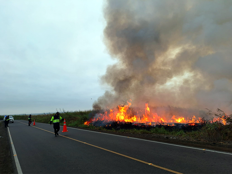 Nuevo Chimbote: reportan incendio forestal en la carretera de acceso a El Dorado