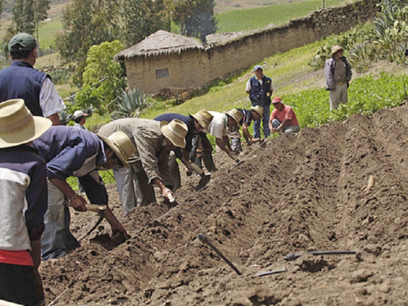 Congreso aprueba creación del Ministerio de Desarrollo Agrario y Riego