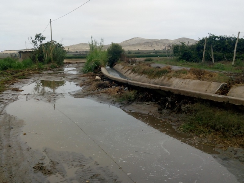 Rotura de canal lateral inunda campos en Chachapoyas Alto