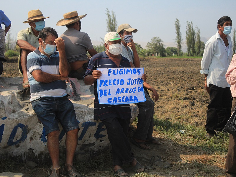 Chimbote: Agricultores anuncian bloqueos a los molinos de arroz