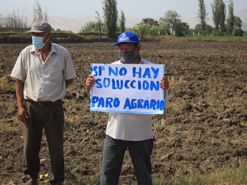 Chimbote: Agricultores logran que precio de arroz no baje