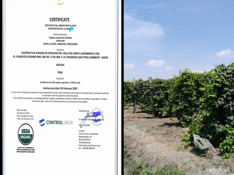 Cooperativa Santa Lacramarca: la primera del valle en recibir certificación orgánica