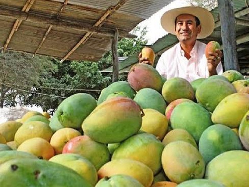 Minagri: sector agropecuario creció 3,2 % en el 2019