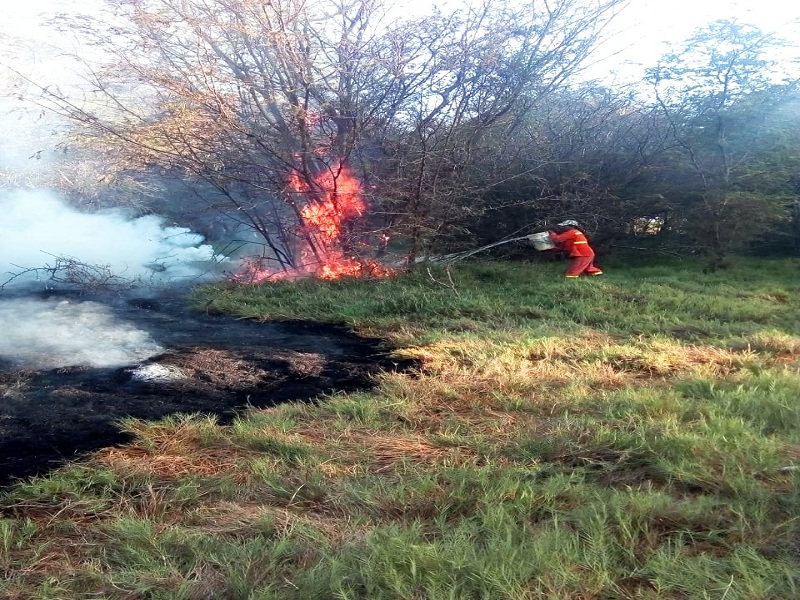Nepeña: empresa niega que incendio en bosque sea su responsabilidad   