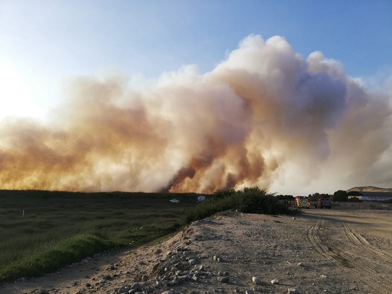 Chimbote: Gigantesco incendio se produce en zona ecológica